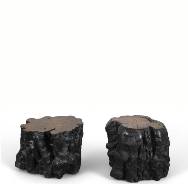 Black Lychee Living Edge Accent or Side Table or Stool, Pair