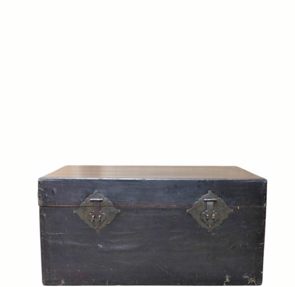 Black Leather Traveler's Trunk