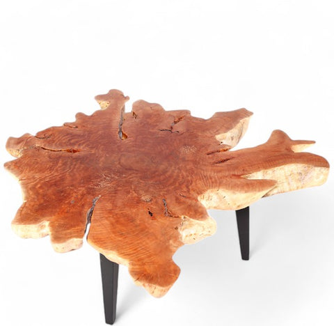 Modern Lychee Living Edge Coffee Table 94