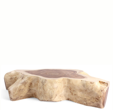 Nature Free Form Block Coffee Table