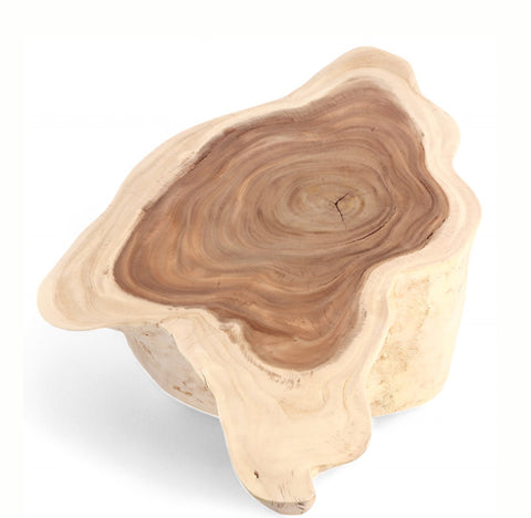 Nature Free Form Block Coffee Table